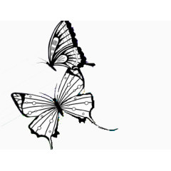 蝴蝶两只钢笔中国风意境作品
