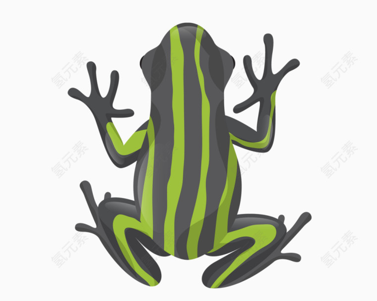 绿色条纹小青蛙