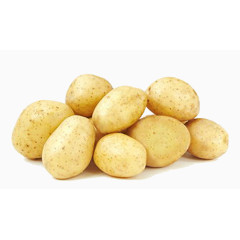 一堆小土豆