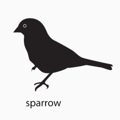 sparrow麻雀英文注释加轮廓