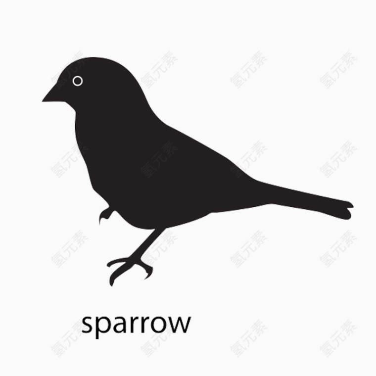 sparrow麻雀英文注释加轮廓