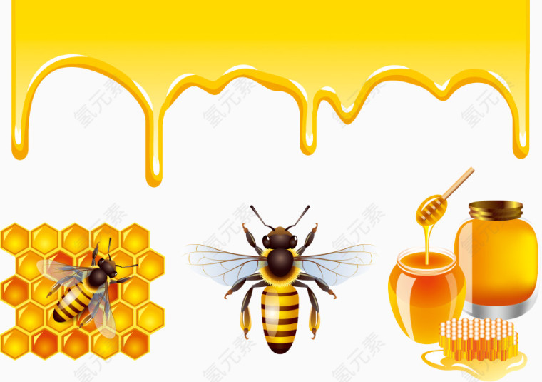 蜂蜜与蜜蜂设计