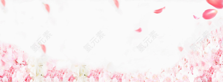 花朵花瓣粉色素材