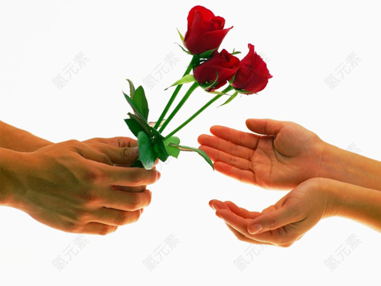 男人送女人玫瑰花