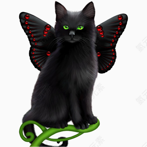 黑色翅膀猫