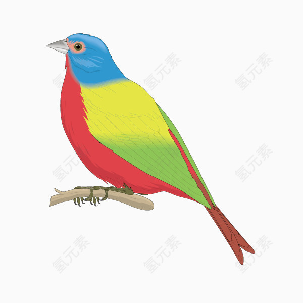 鸟 彩色 矢量图 装饰图案 动物