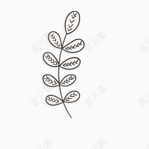 简单植物图片