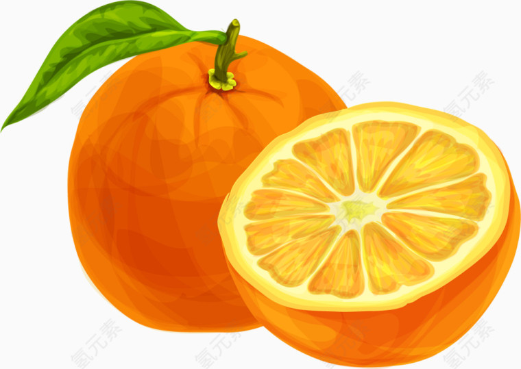 金橘色橙子