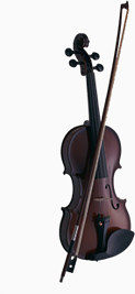 褐色小提琴