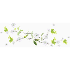 白色藤蔓植物花朵素材