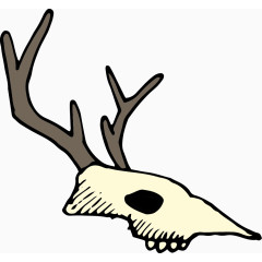 鹿的头骨