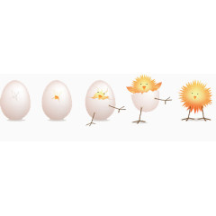 卡通版的鸡蛋孵化成小鸡的过程