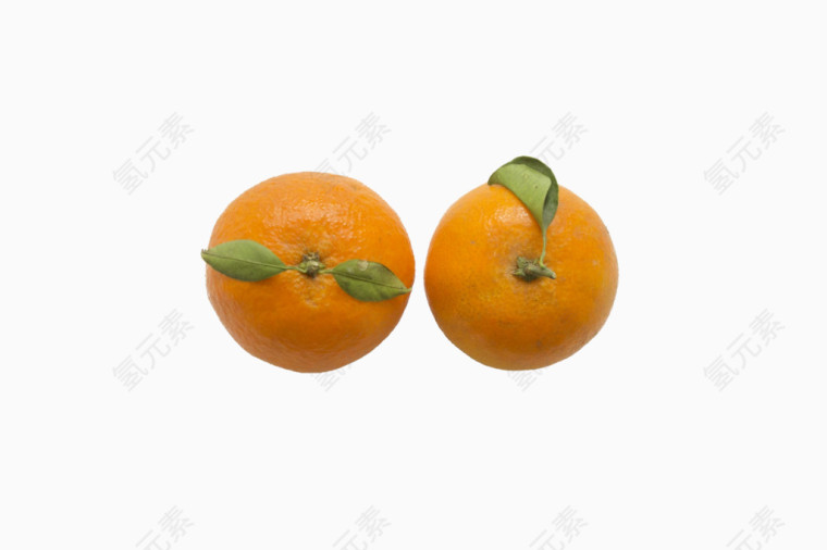 两个橘子