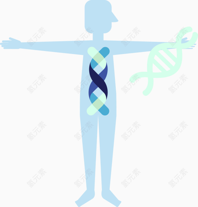 蓝色简约人体基因链矢量图
