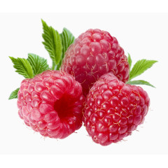 水果山莓素材