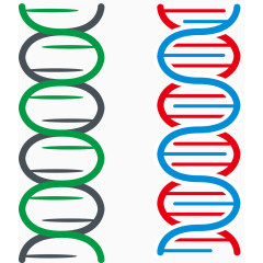 简约基因链矢量图