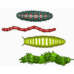 各式各样的小虫子
