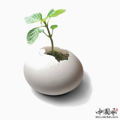 中国风创意破壳小草