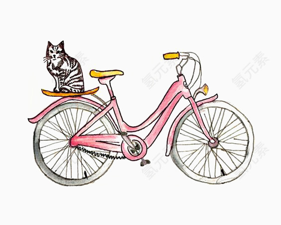 自行车上的猫
