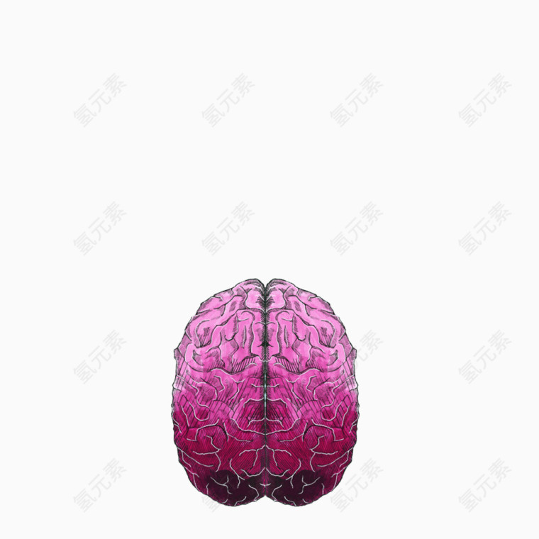 创意手绘粉色大脑