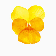 黄色手绘花卉免扣元素免费下载