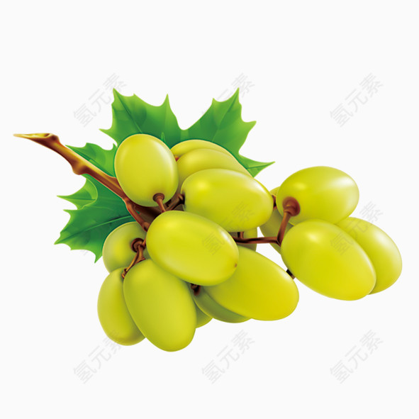 新鲜绿色葡萄
