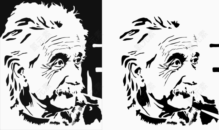 矢量爱因斯坦