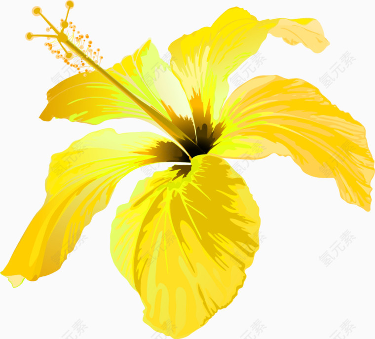 黄色唯美花卉