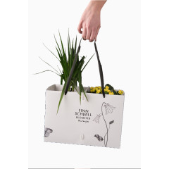 纸袋子里放着植物