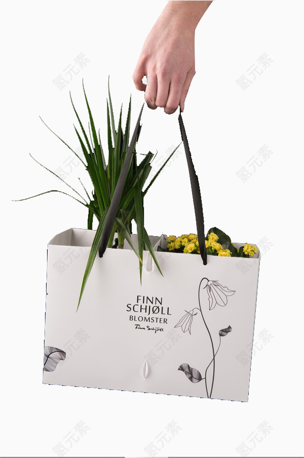 纸袋子里放着植物