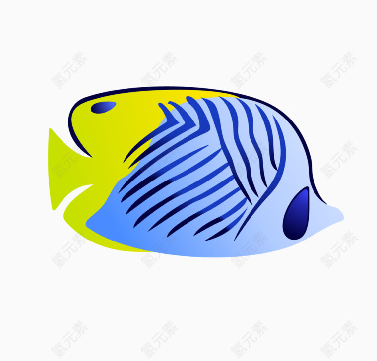 蓝绿色热带鱼