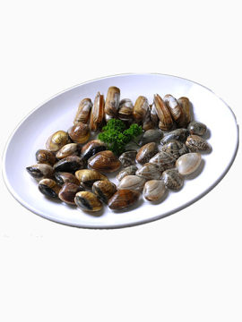 海鲜贝壳装盘