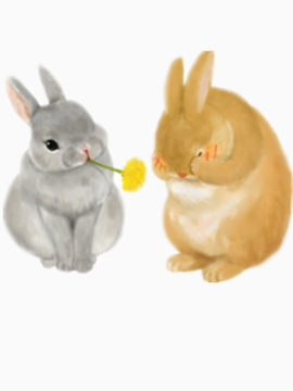灰兔和黄兔