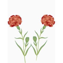 小红花