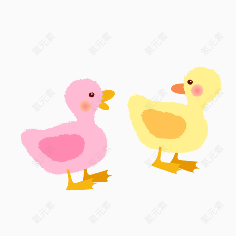 两只可爱的鸭子