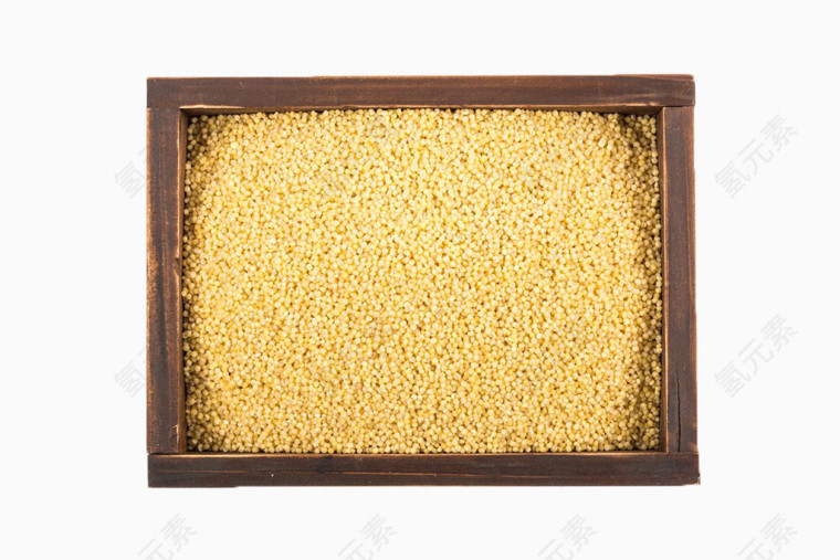 木盒子里的黄色小米