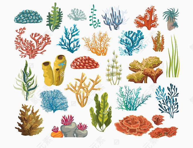 五颜六色的珊瑚和藻类