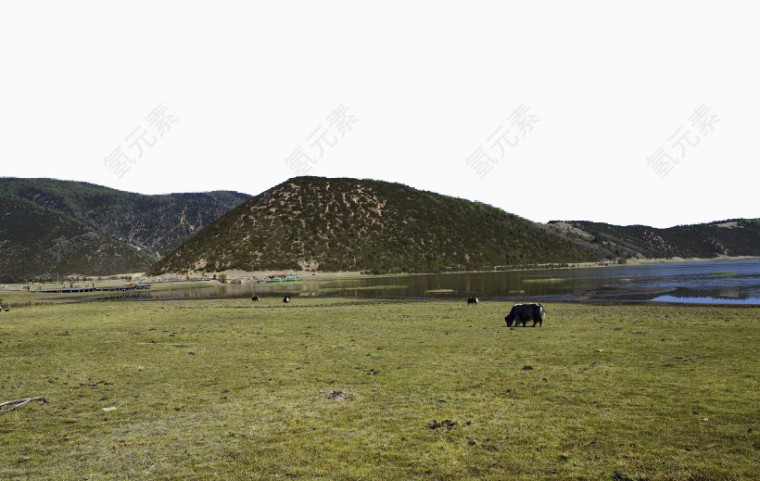 云南普达措公园风景