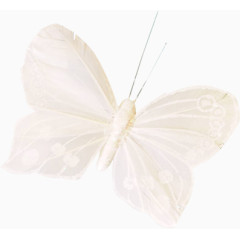 白纸蝴蝶