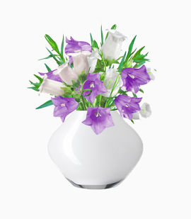 白色花瓶中的花