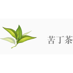 中药苦丁茶