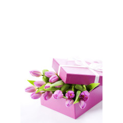 粉色礼盒花语物语