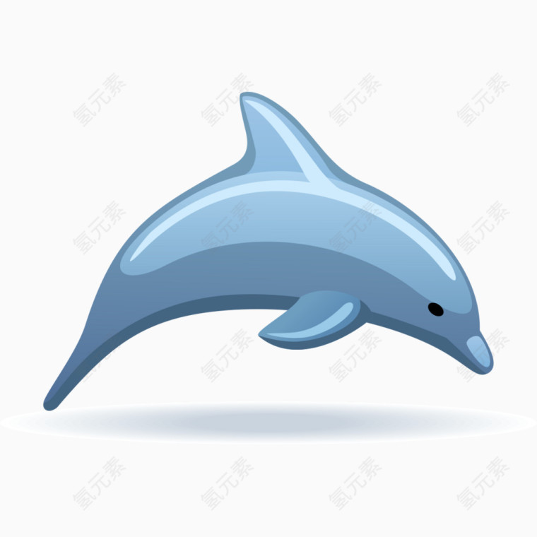 手绘海豚图像