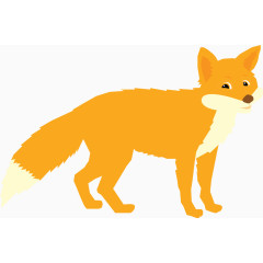 橘色可爱狐狸