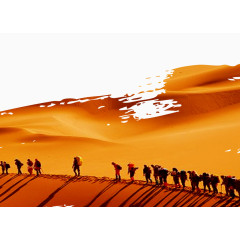 黄色沙漠骆驼