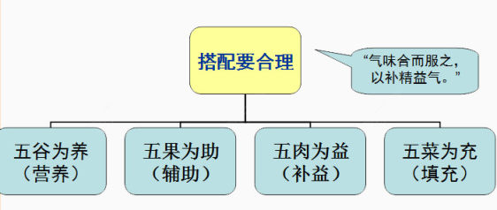 饮食指导结构图下载