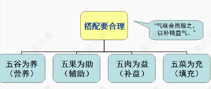 饮食指导结构图