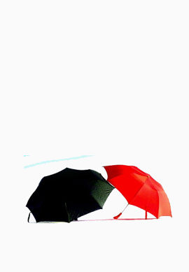 黑红伞