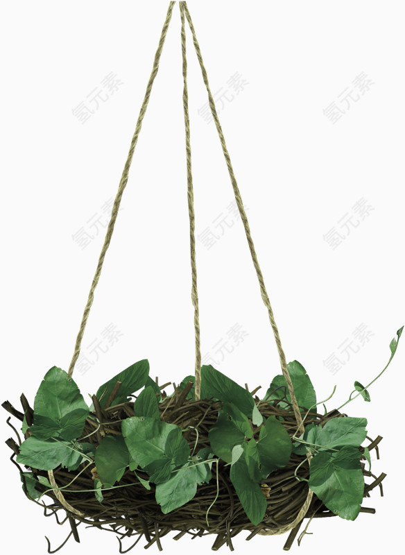 绿色简约植物吊篮装饰图案