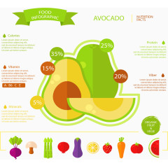 牛油果水果信息图表